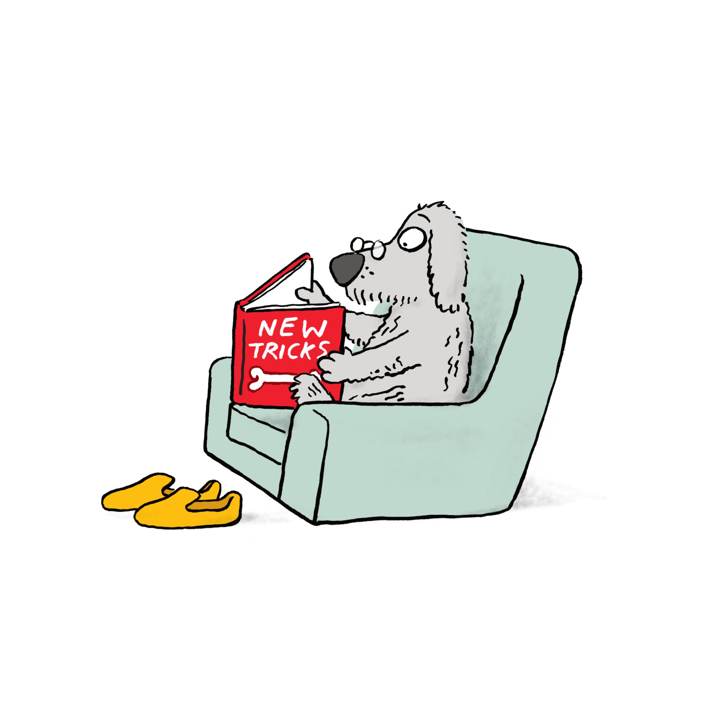 old dog.jpg