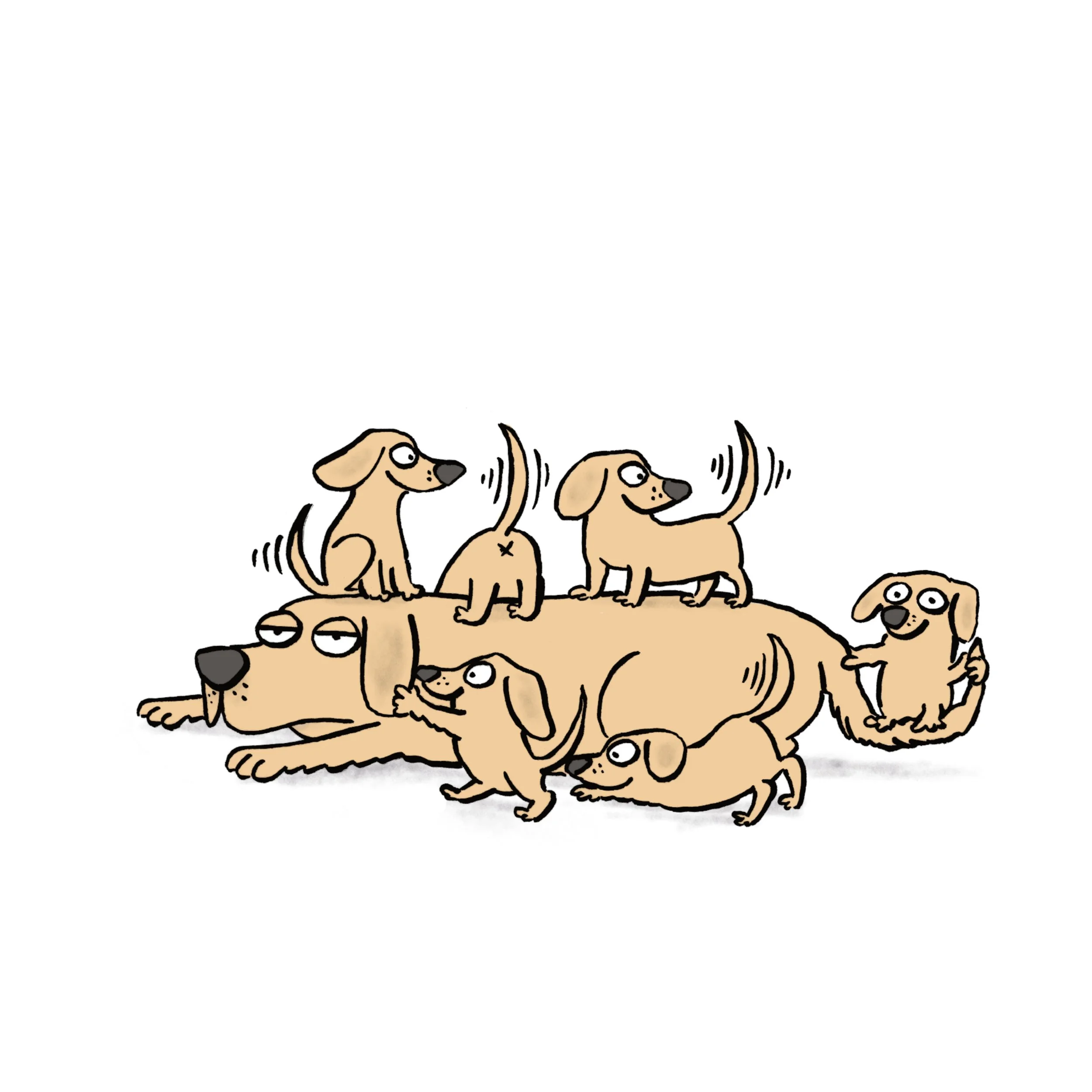 mum and pups.jpg