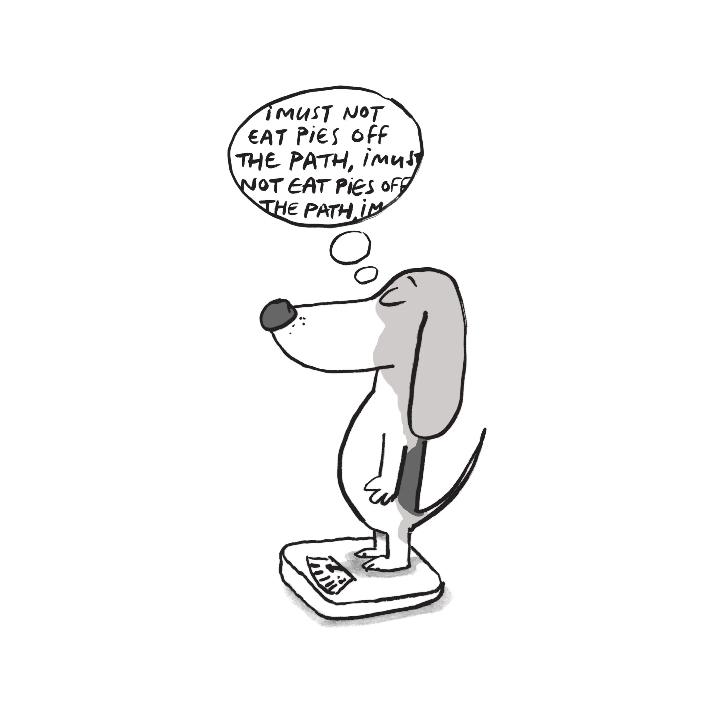 pies.jpg