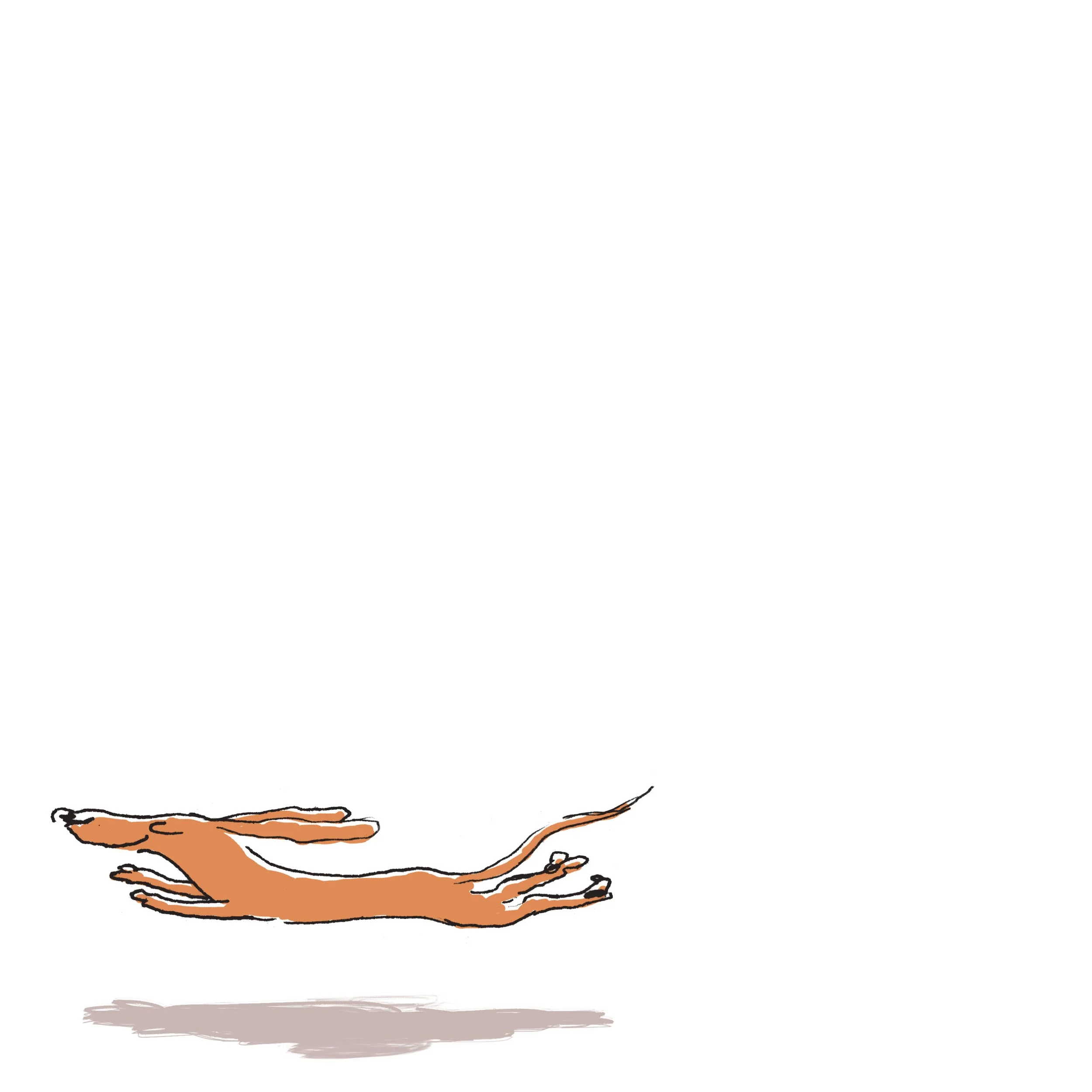 flying ssg.jpg