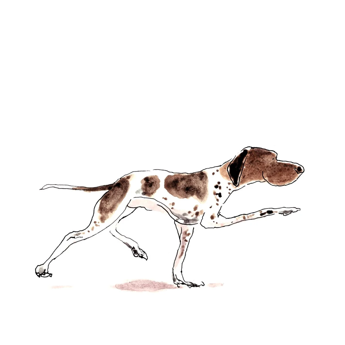 pointer.jpg