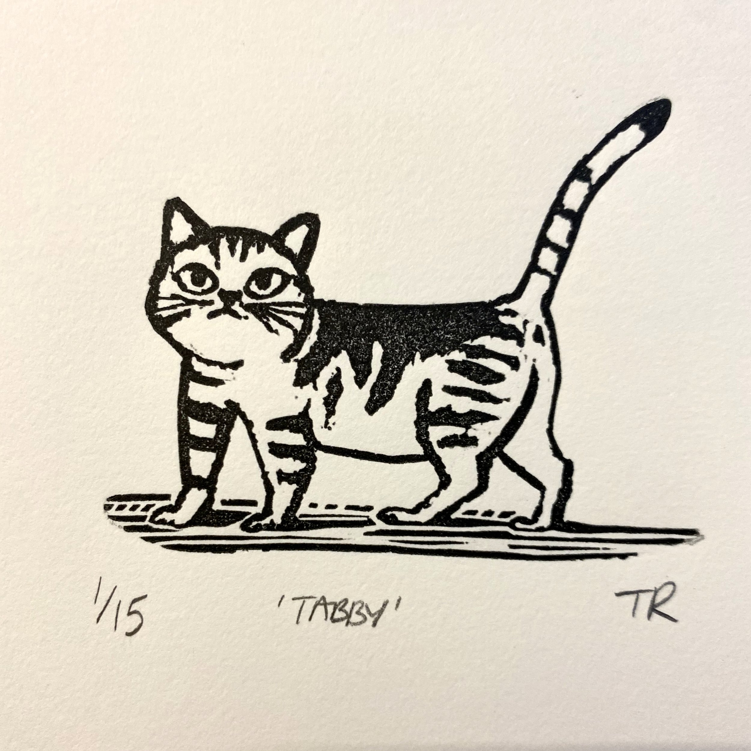 Tabby A.jpg