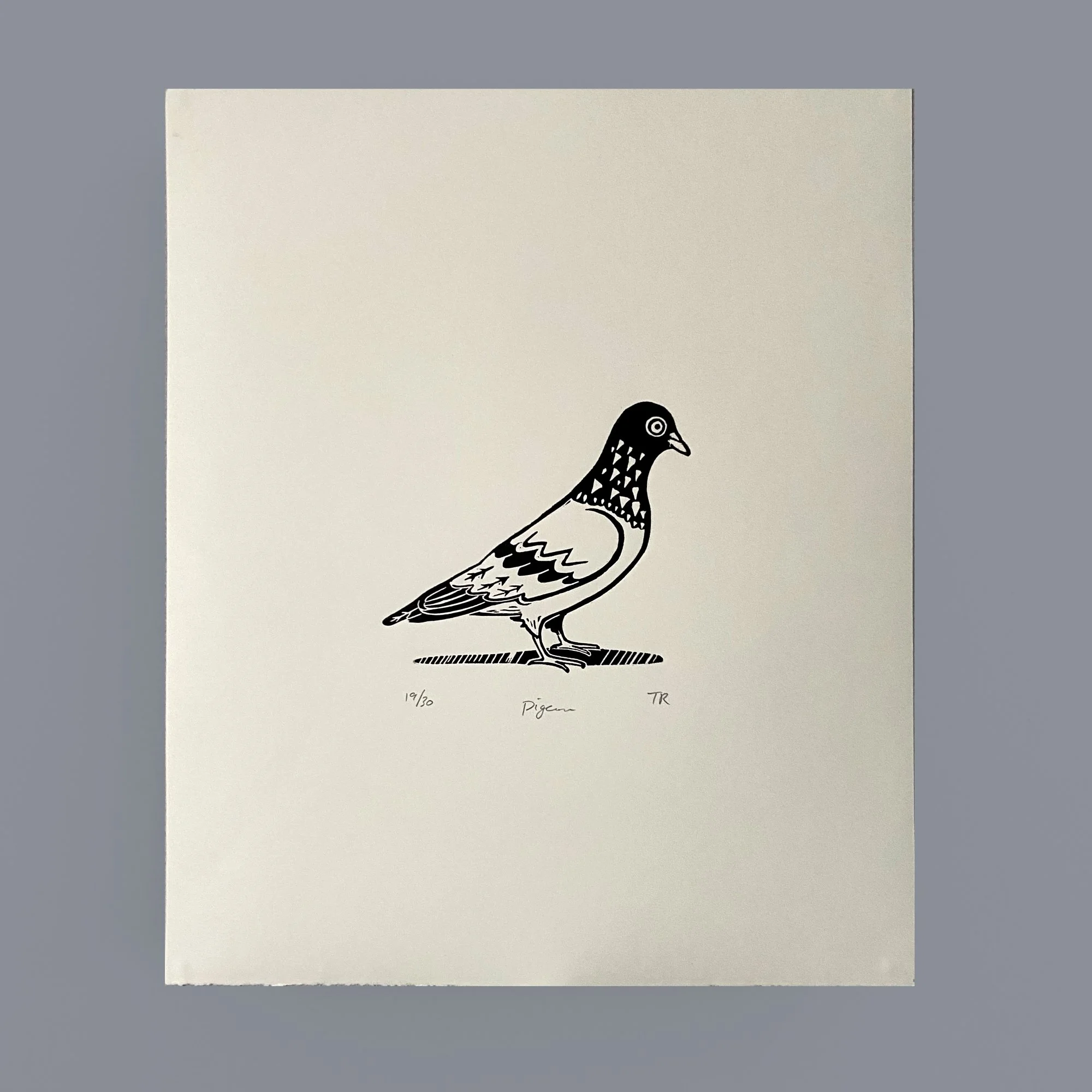 Pigeon B.jpg (Copy)