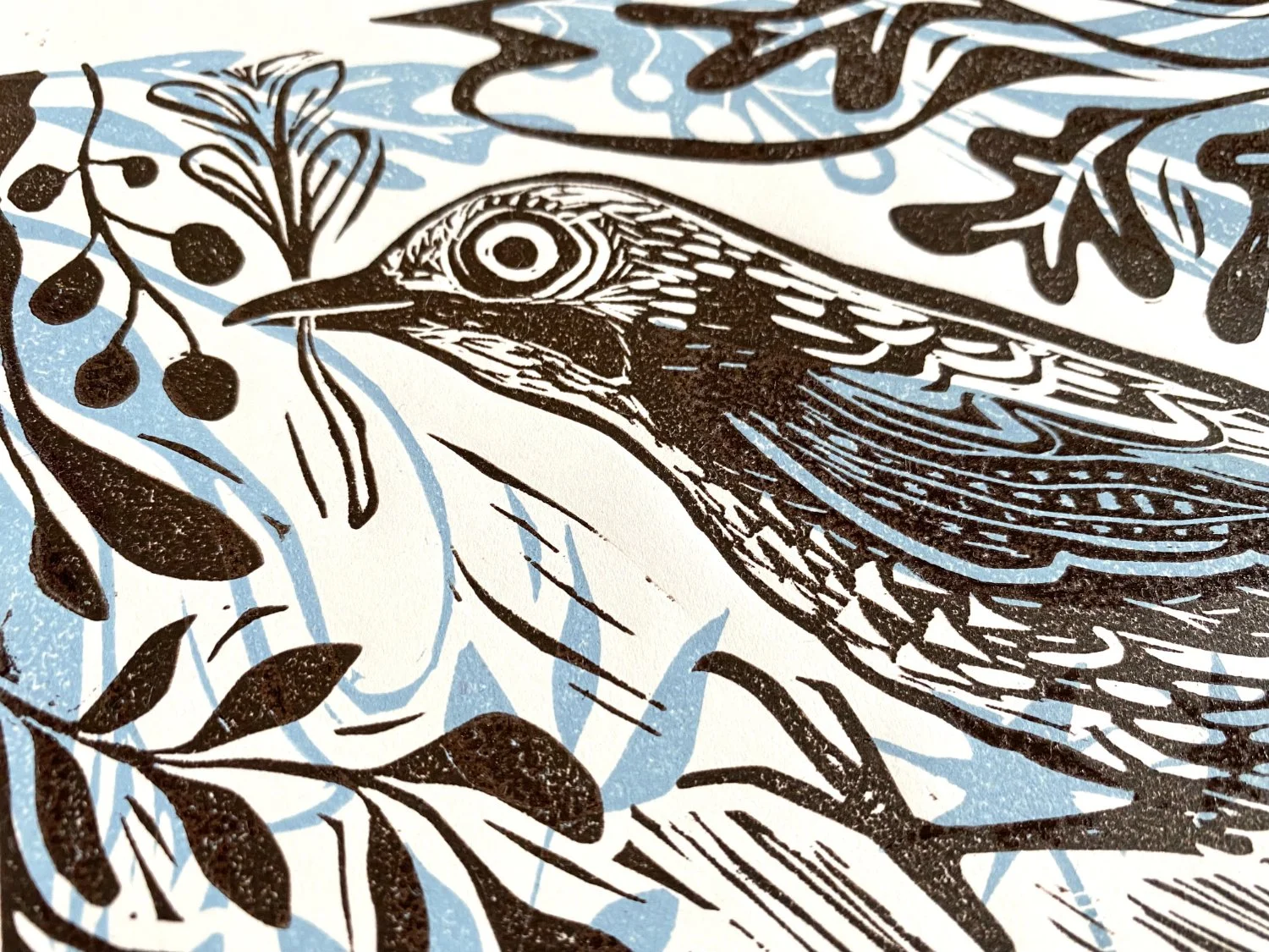 Jay linocut print