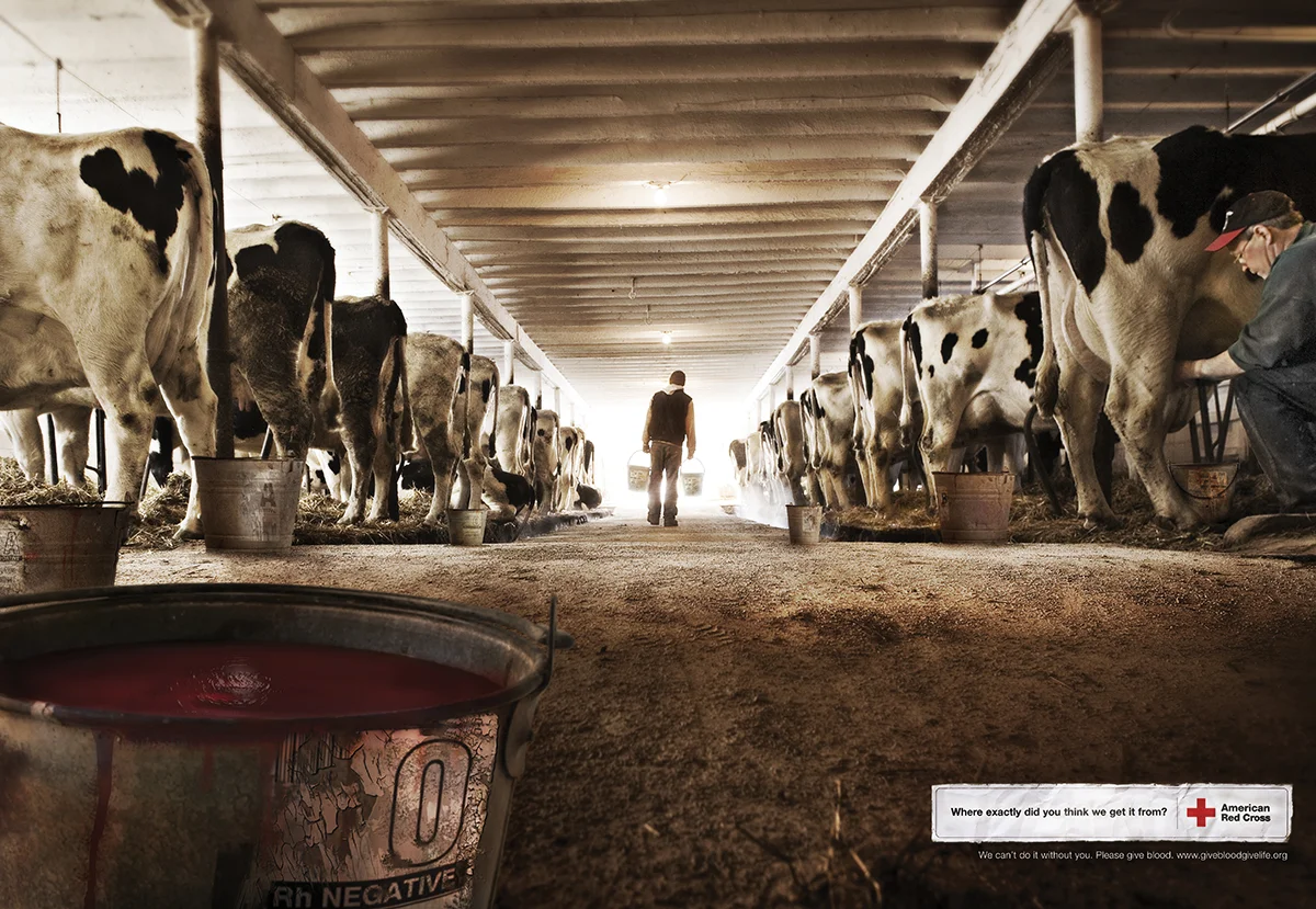 RedCross cows ad copy.jpg