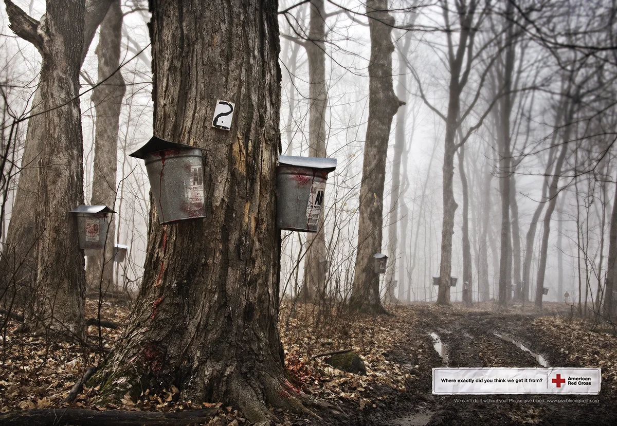 RedCross maple trees ad copy.jpg