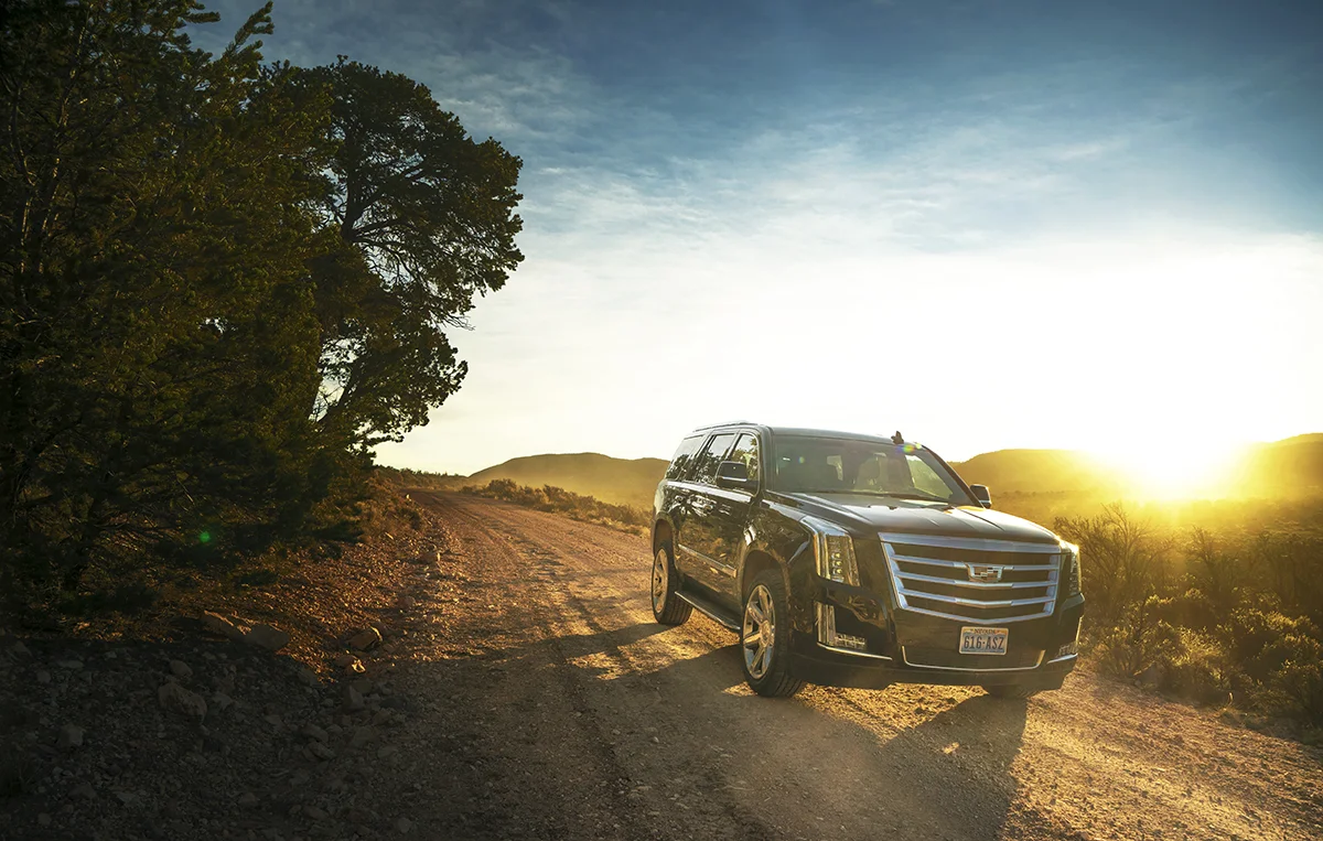 JimGallop041 7153.JPG