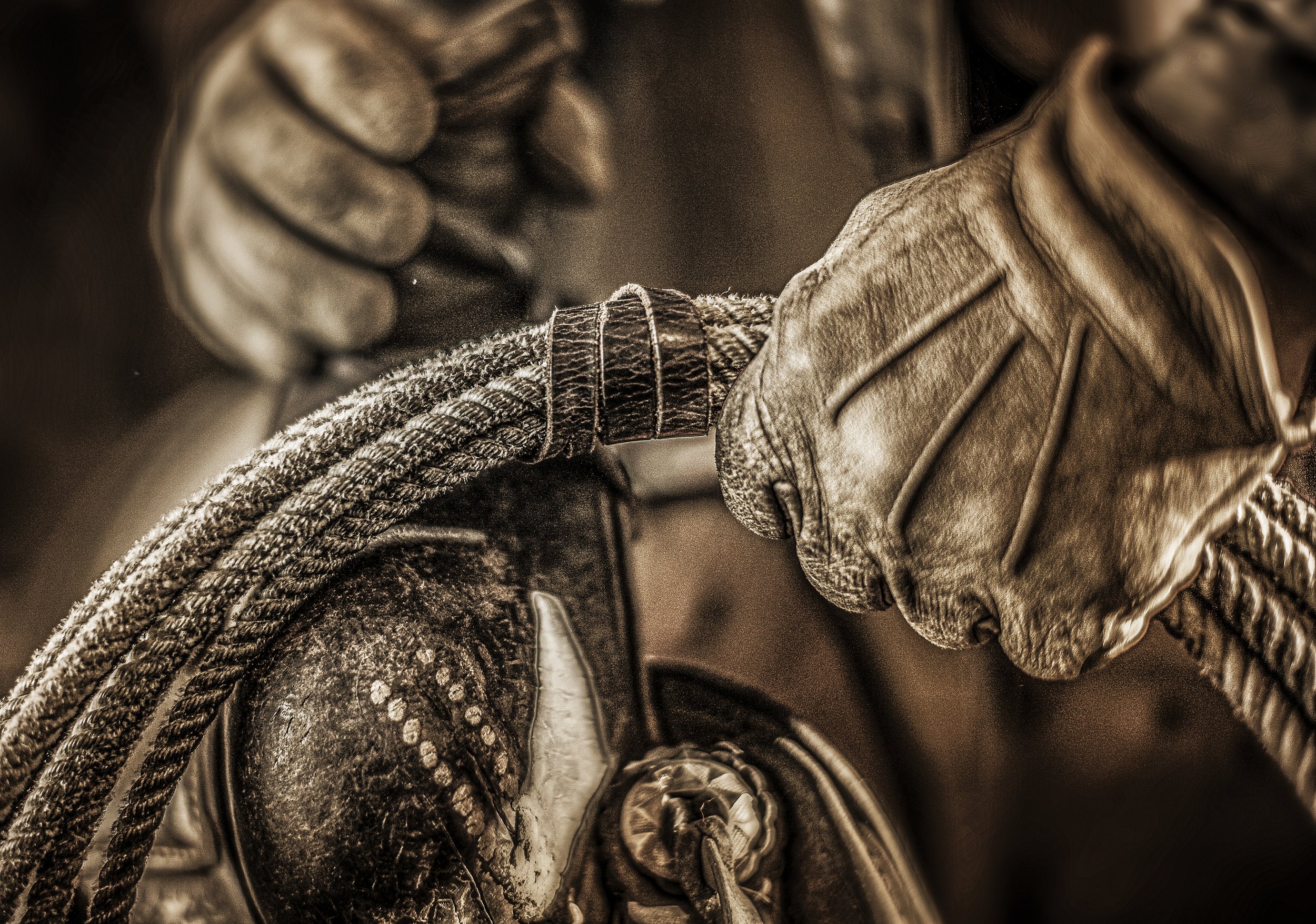 JimGallop 3637 V2.JPG