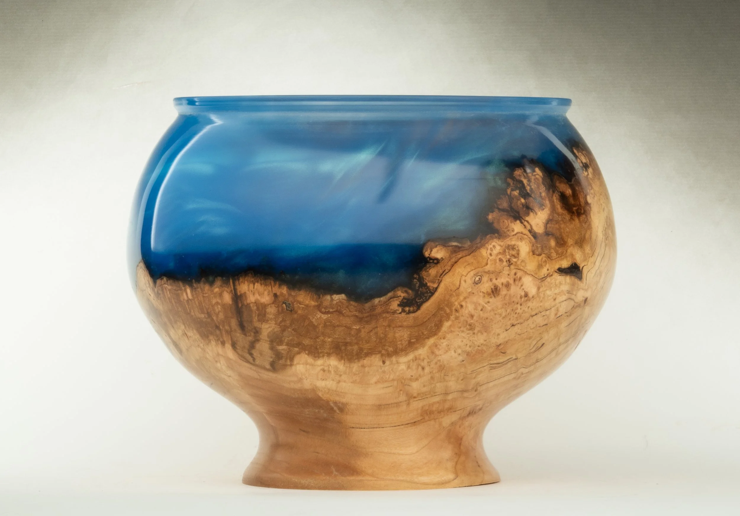 Blue cherry DSC03539.jpeg