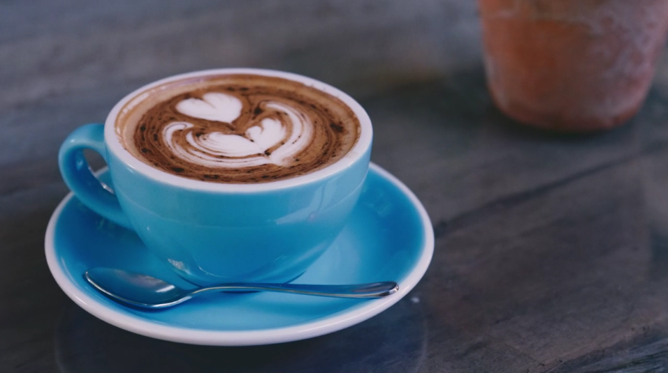 Vibrant Adelaide / Peter Rabbit