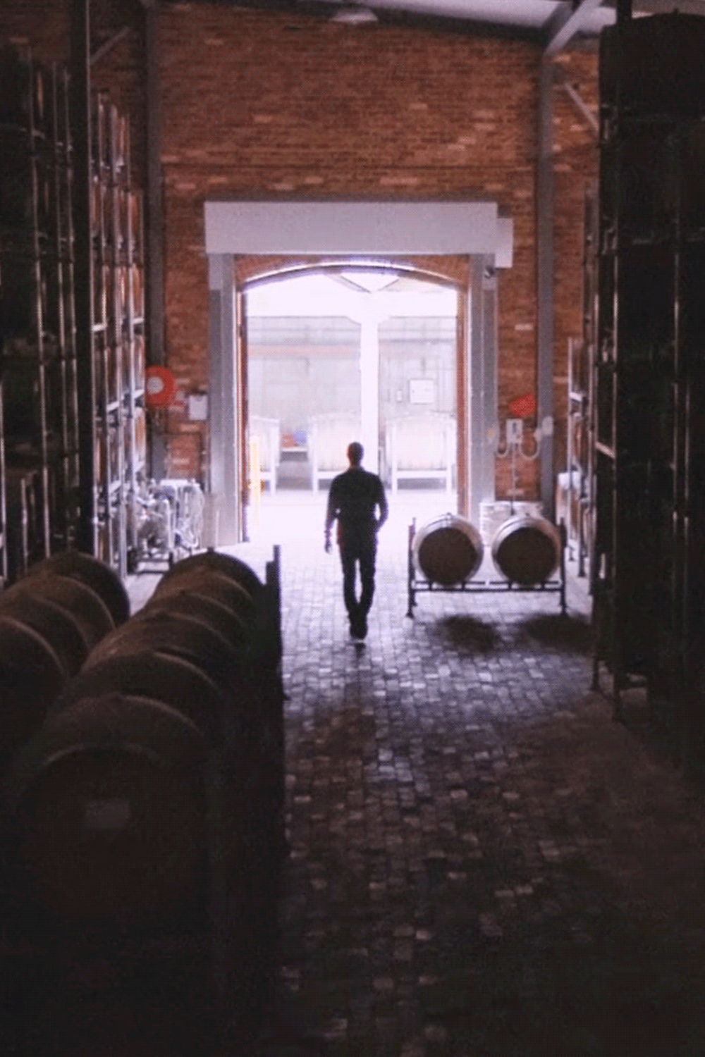 Exploring the historic barrel hall at Wirra Wirra.