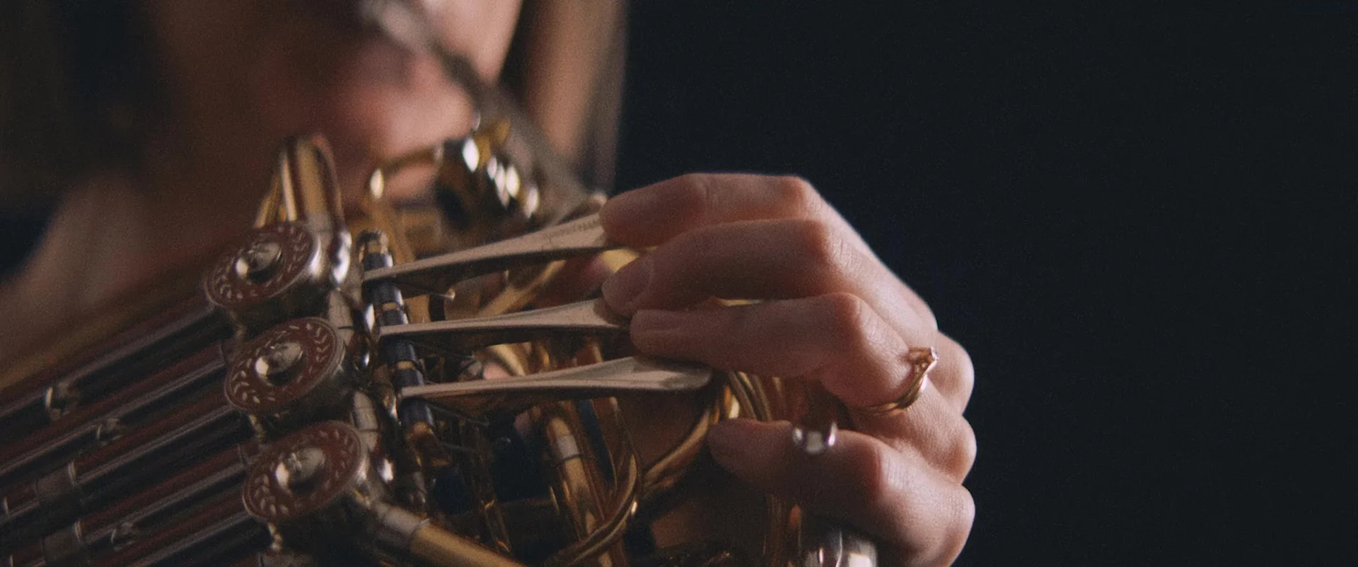 Adelaide Symphony Orchestra / Experience the ASO