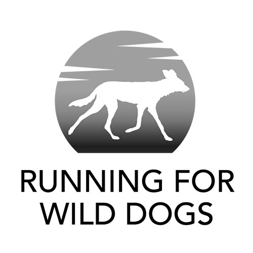 Running for Wild Dogs Red Fox Films Client