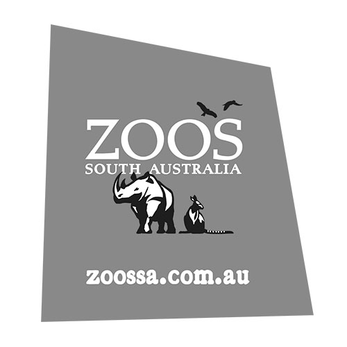 Zoos South Australia Red Fox Films Client
