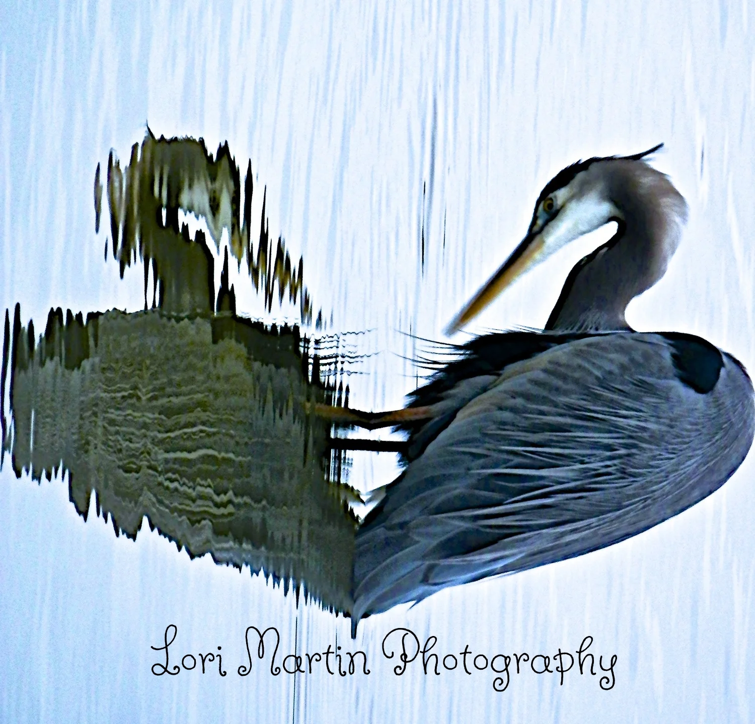"Heron Heart"