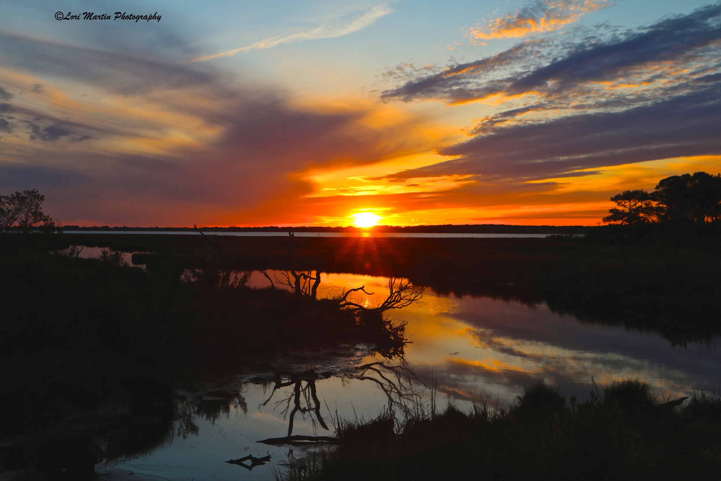 Colorful Reflections at Assateague