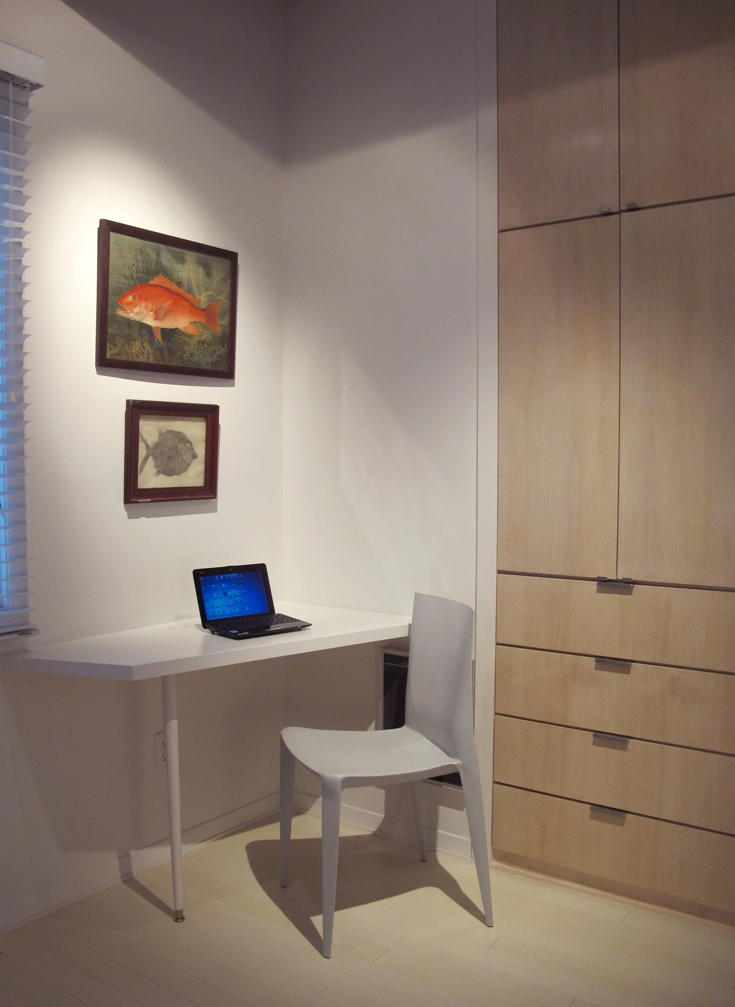 STUDY - NEW CUSTOM BUILT DESK & CLOSETS