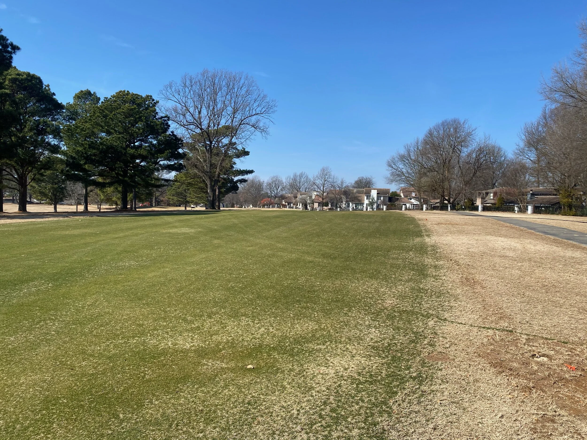 IMG_1410-preview 2.JPG