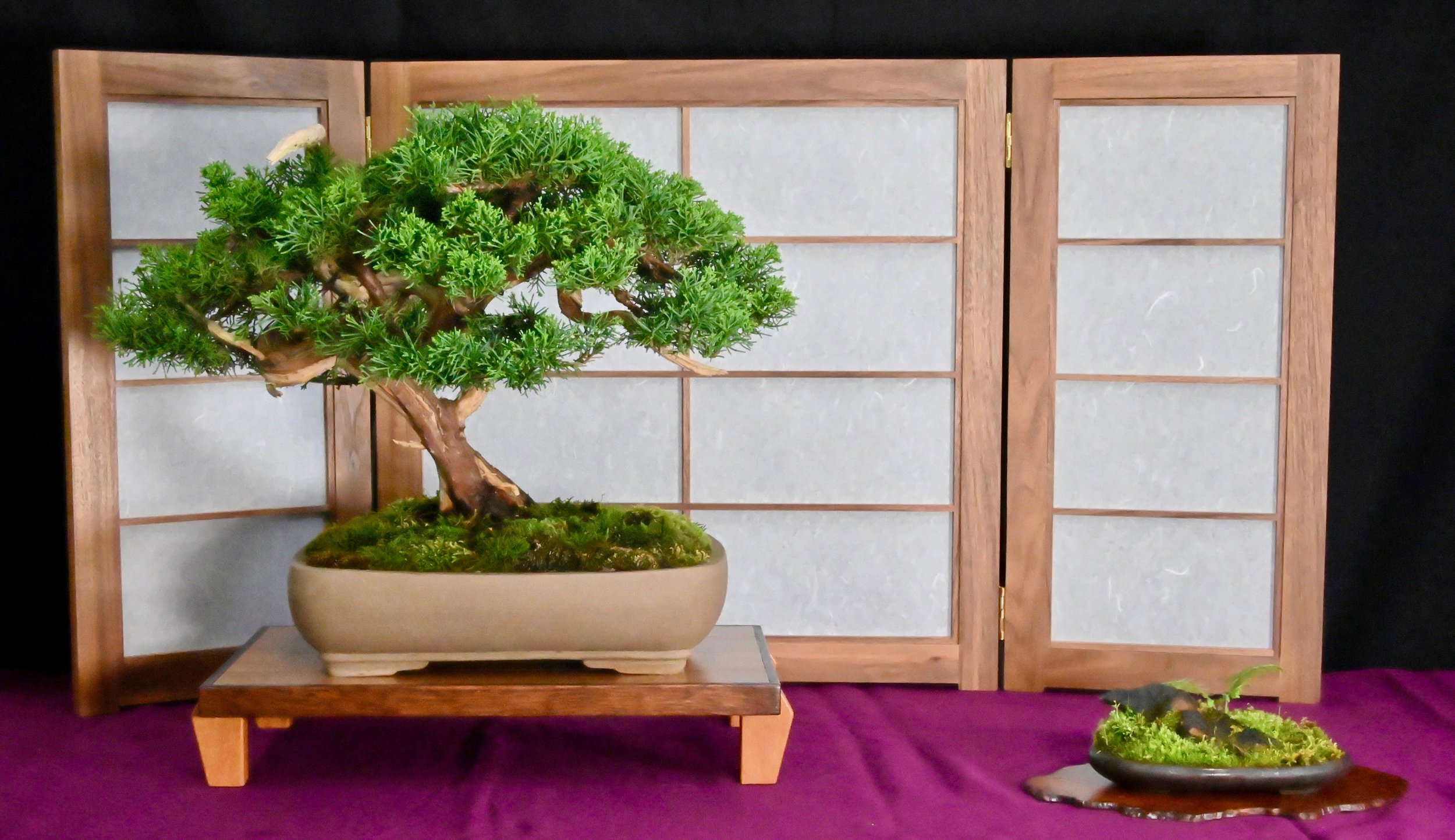 bonsai exhibit 15.jpeg