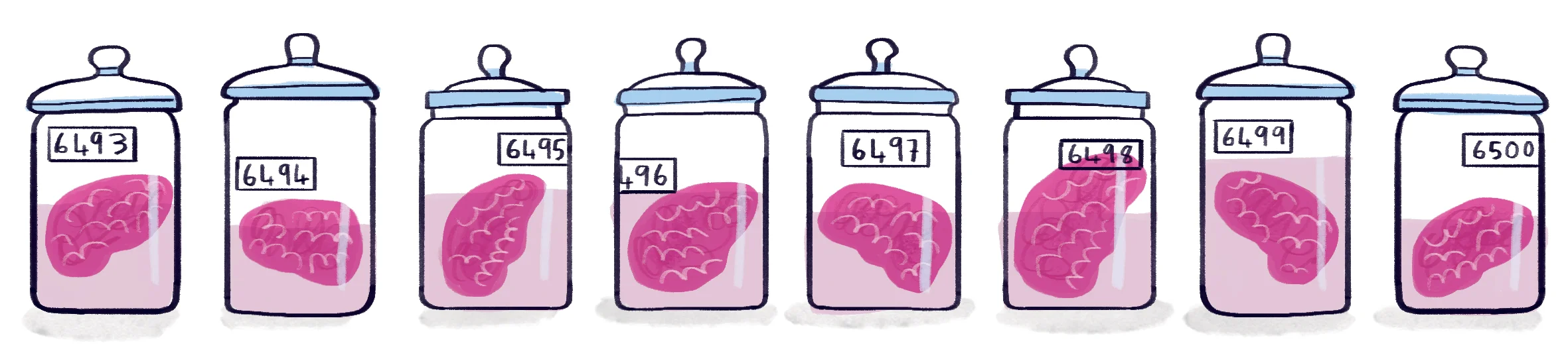 12-brains.jpg