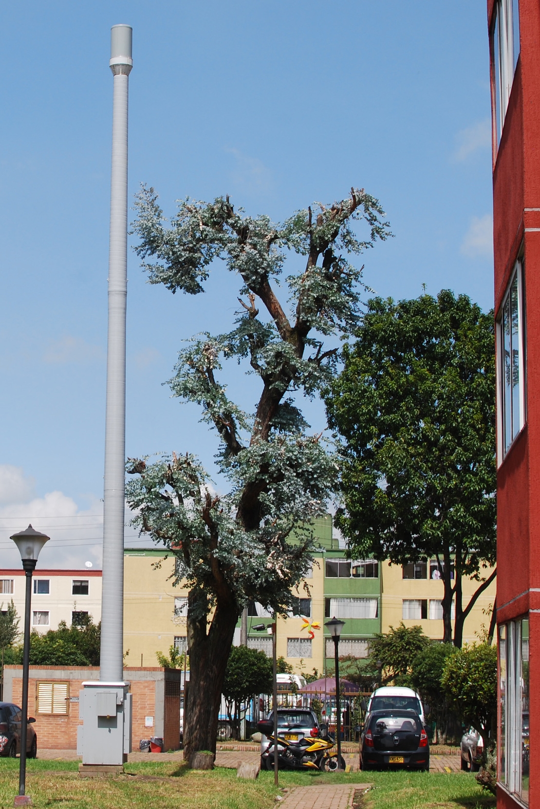 ePole in a Municipality, Small Cells