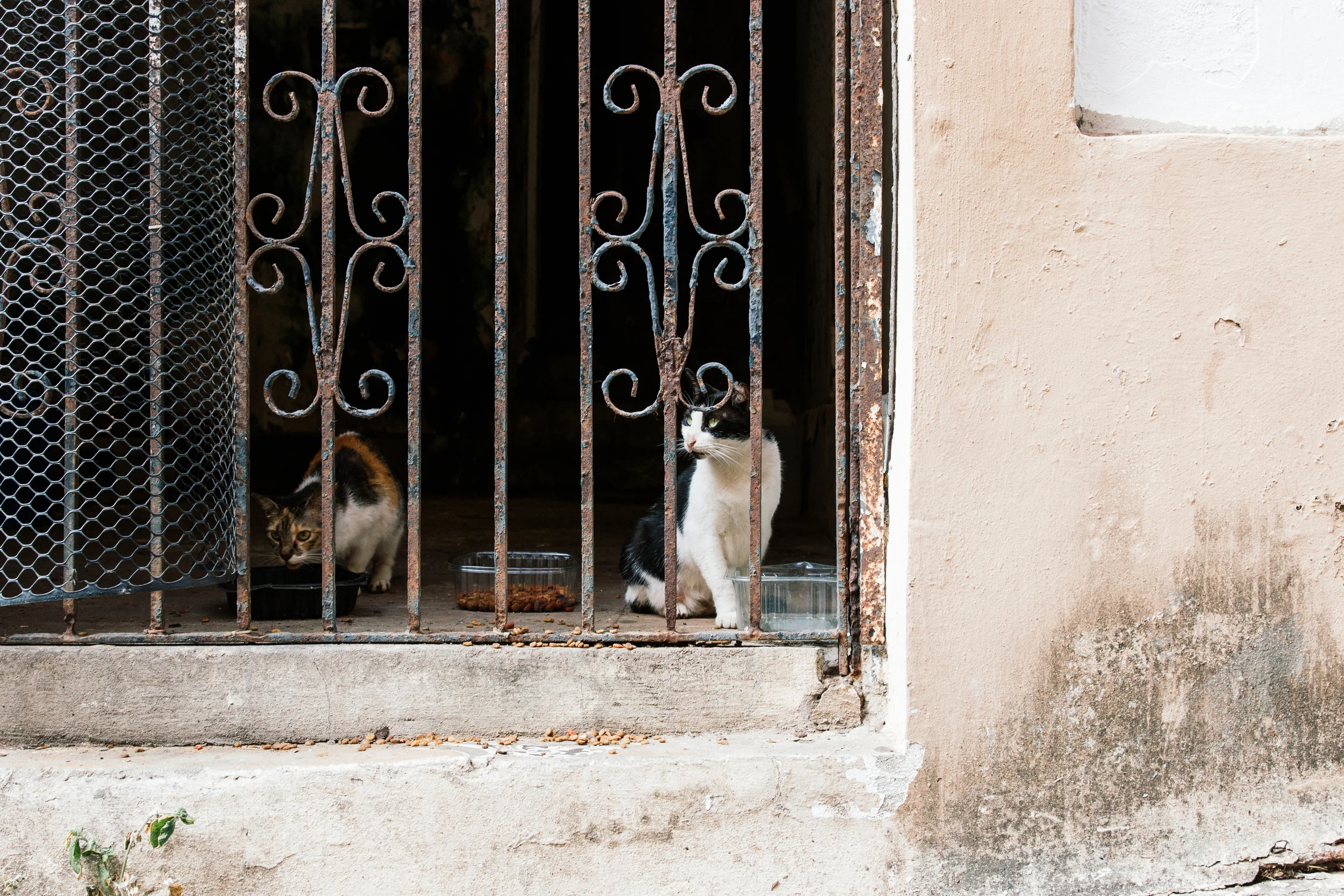 oldsanjuan-17.jpg