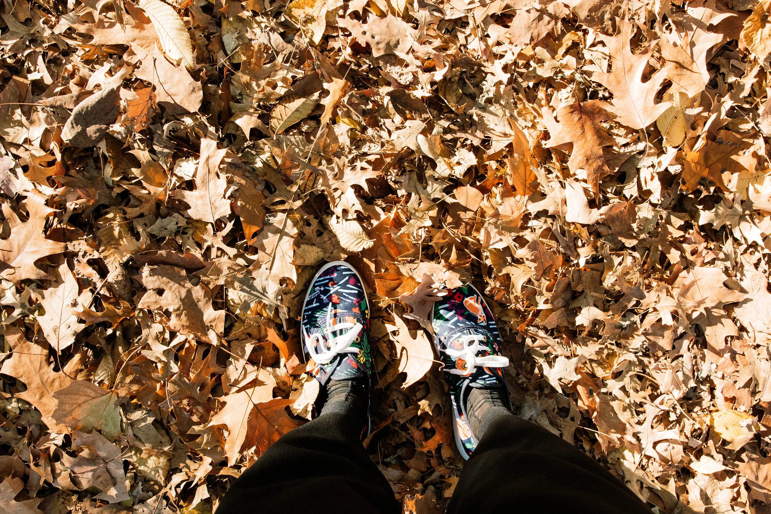 Maison Kitsuné Shoes