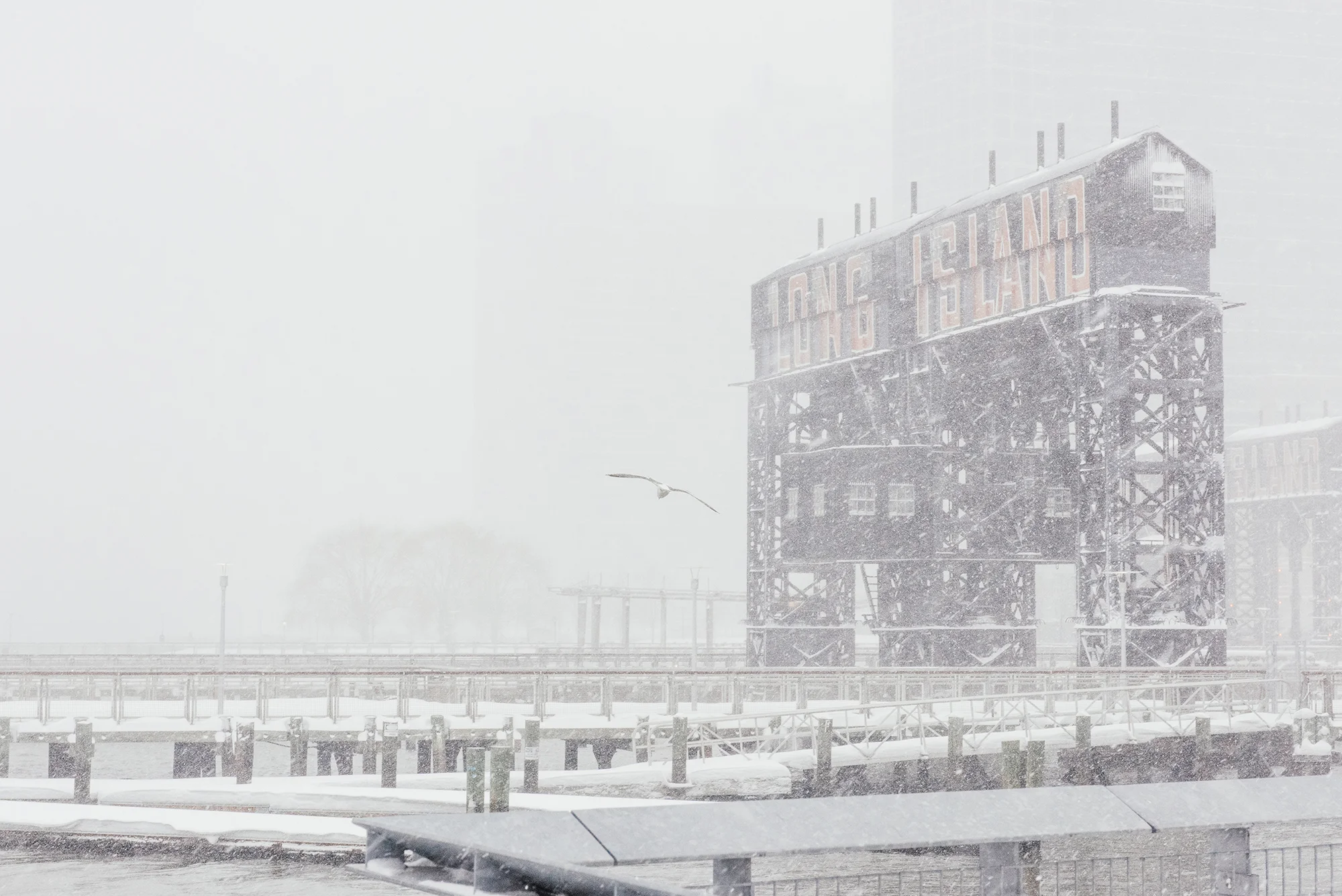 Storm Jonas