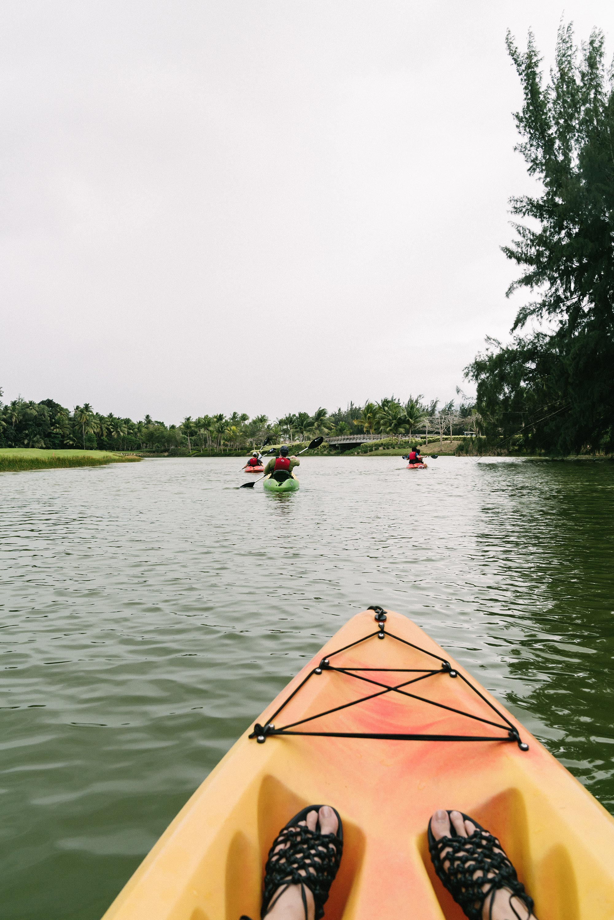 Kayak Tour