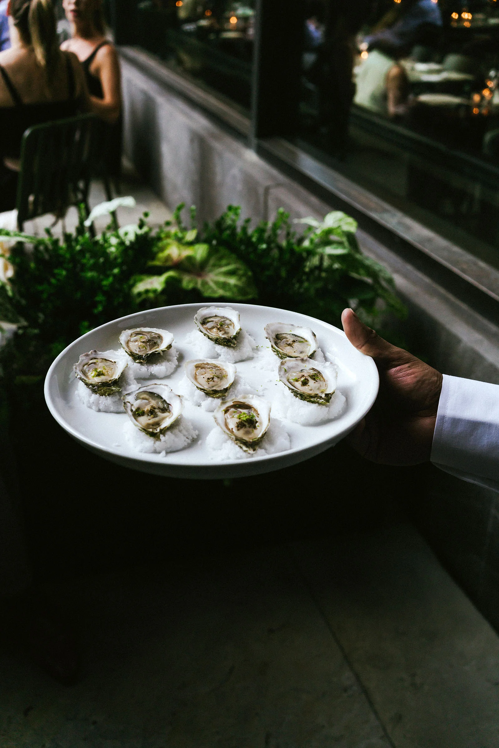 Garden opening celebrations at Flora Bar