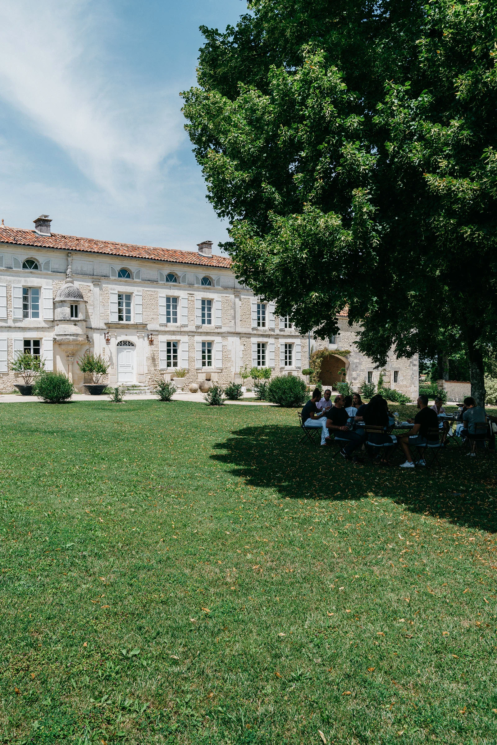 Al Fresco Lunch on the Lawn
