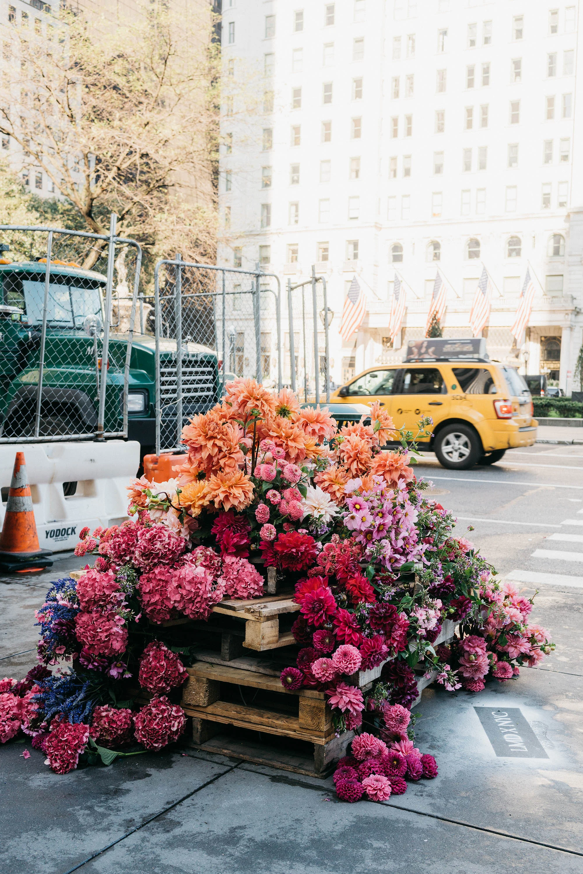 Farrow & Ball x Lewis Miller Design guerrilla style flower installations around the city, bringing beauty to unexpected city corners and construction sites.