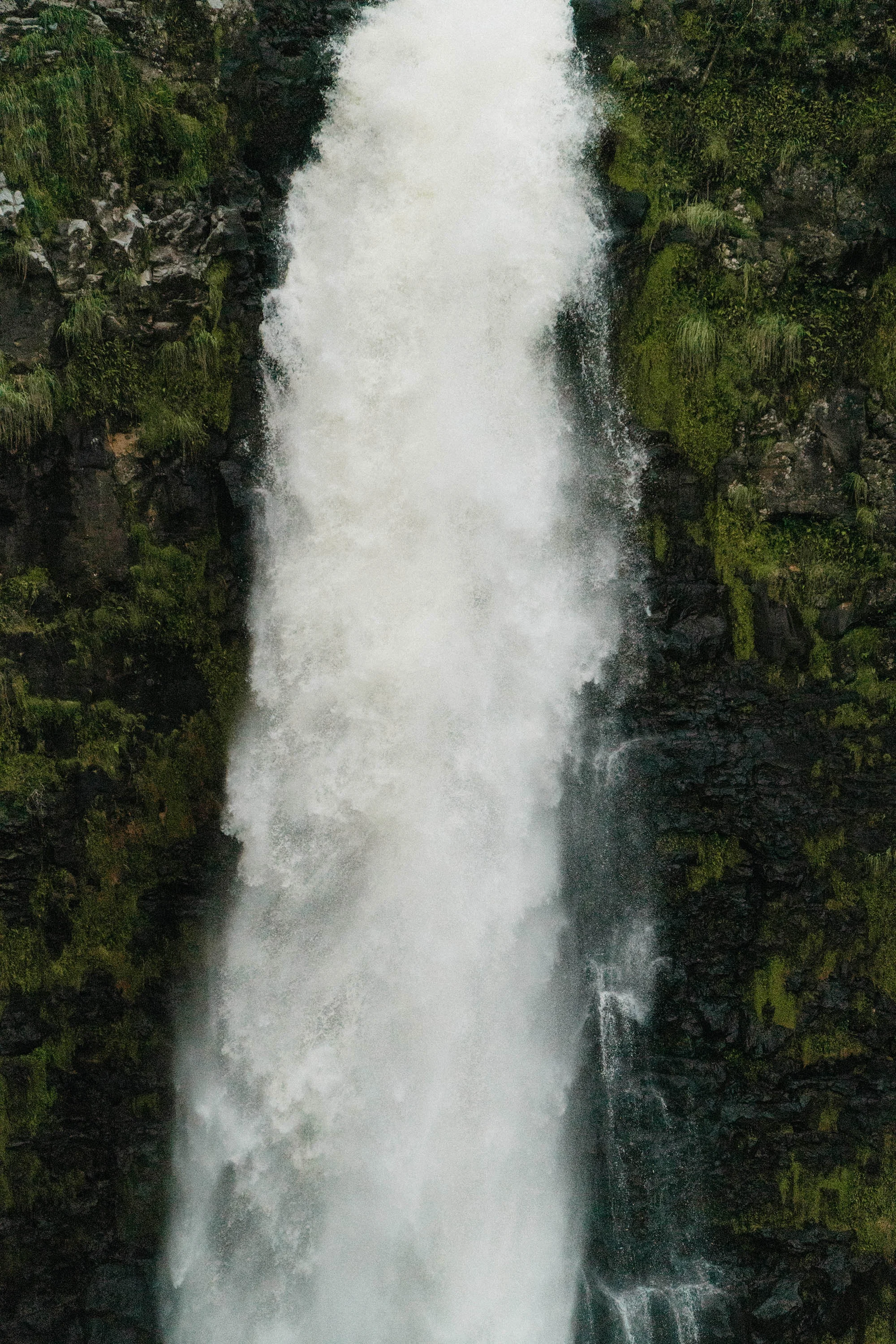 DSC00687.jpg