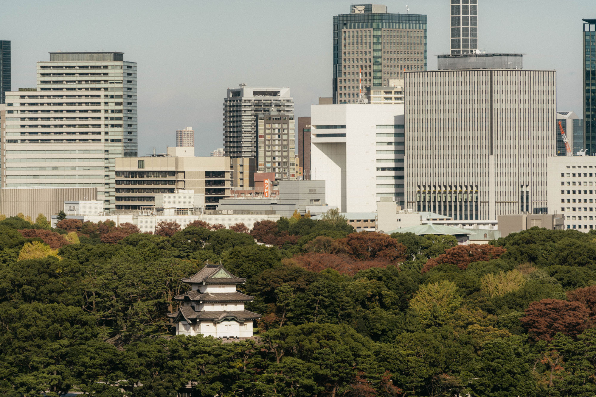 Views from the Peninsula Tokyo