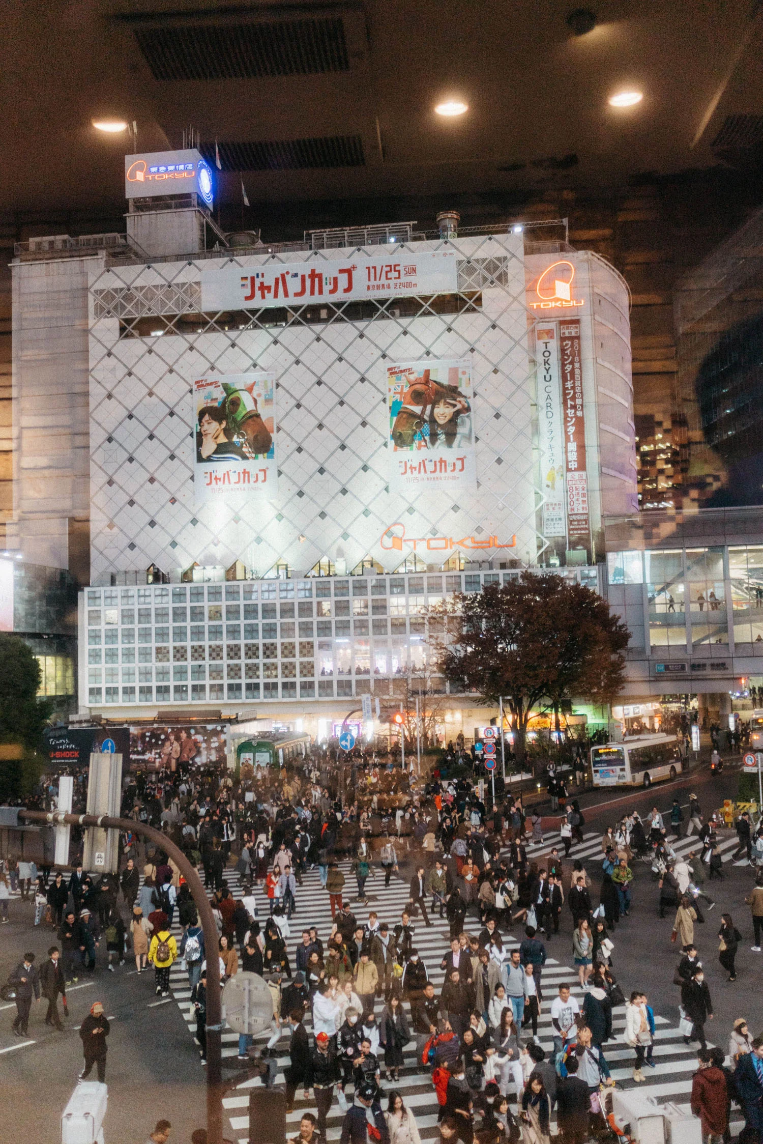 Watching several rounds of crossings from Starbucks above Tsutaya Books