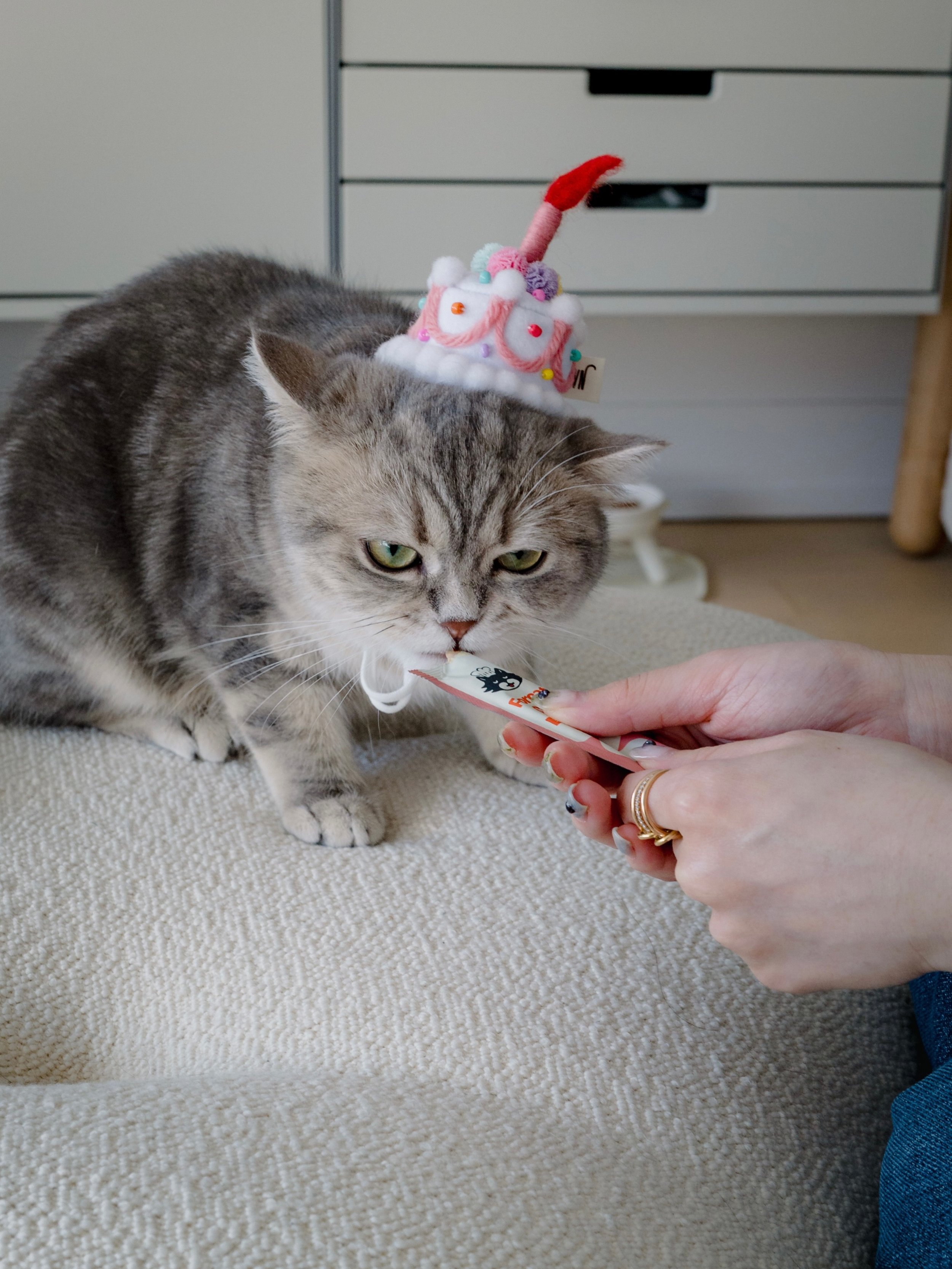 Our little Scorpio baby is already 1 🎂🦂
A little sassy, a little scaredy cat, and a whole lot of affection bomb. Since the day we brought her home in January, this little ball of fur has filled every single day with so much love. We&rsquo;re so luc