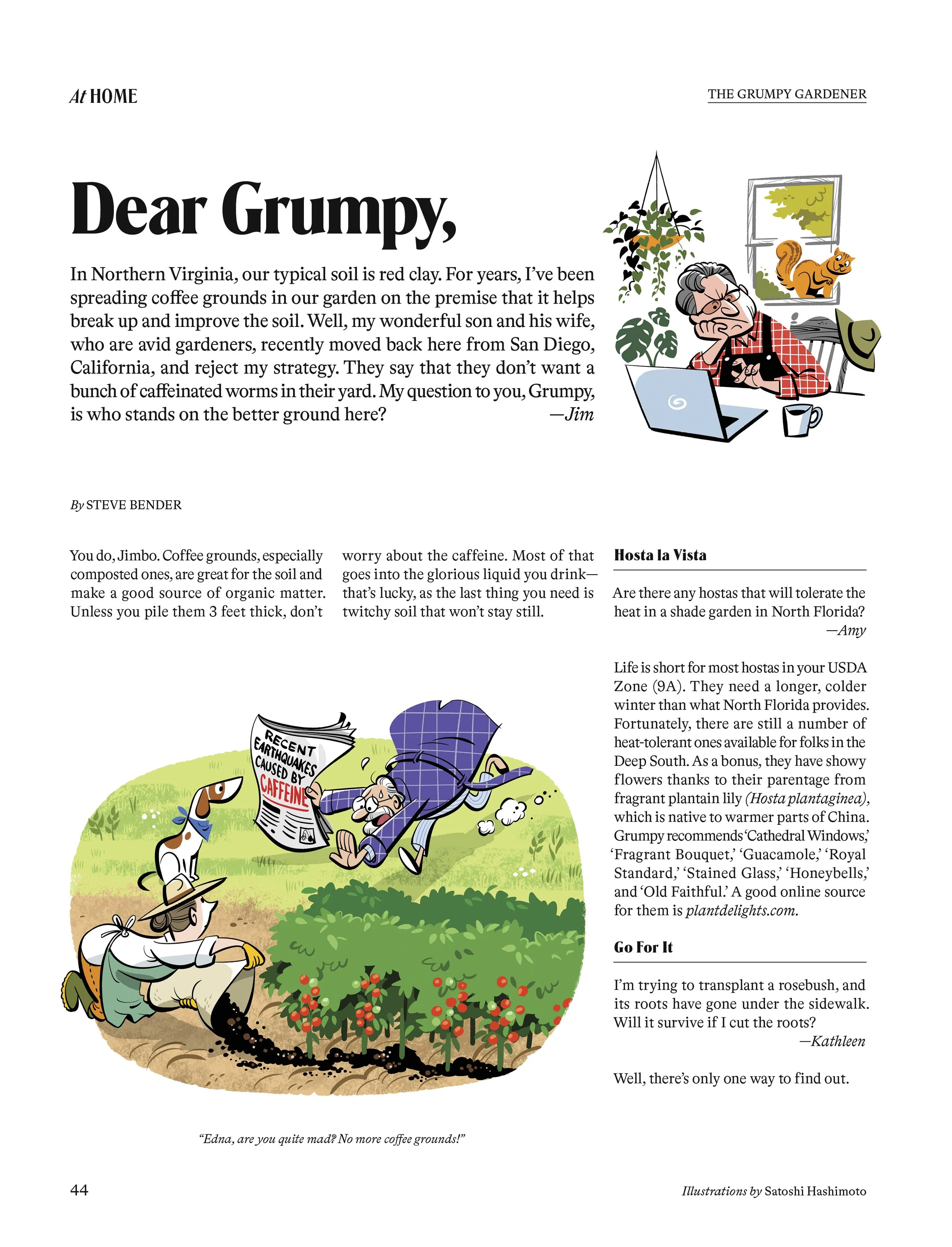 28171_Grumpy.jpg