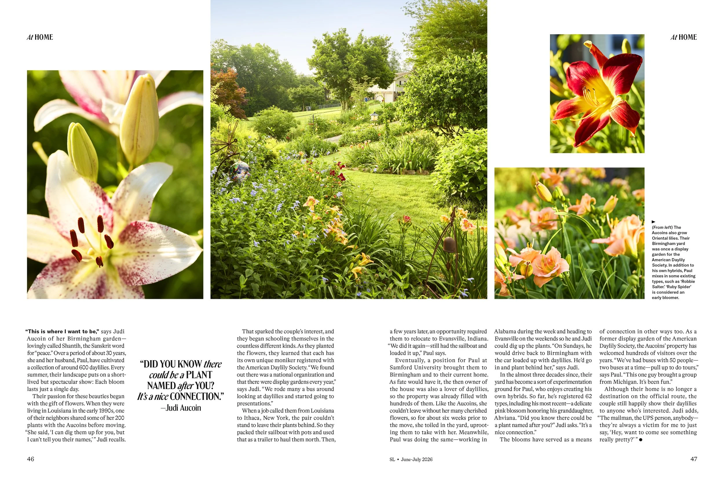 27932_Paul and Judi Aucoins Daylilies2.jpg