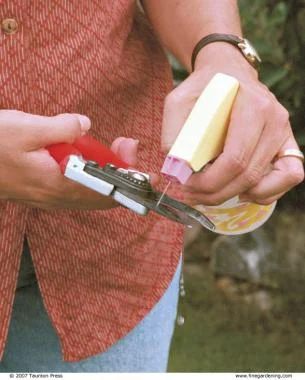 Disinfect pruning shears with alcohol before moving from one tree to the next.