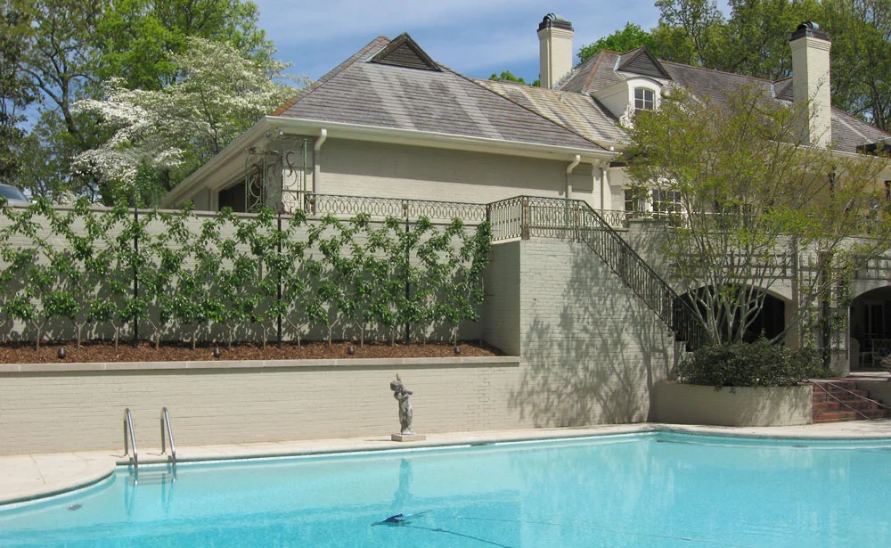 River Road Farms Espaliered Tree Belgian Fence
