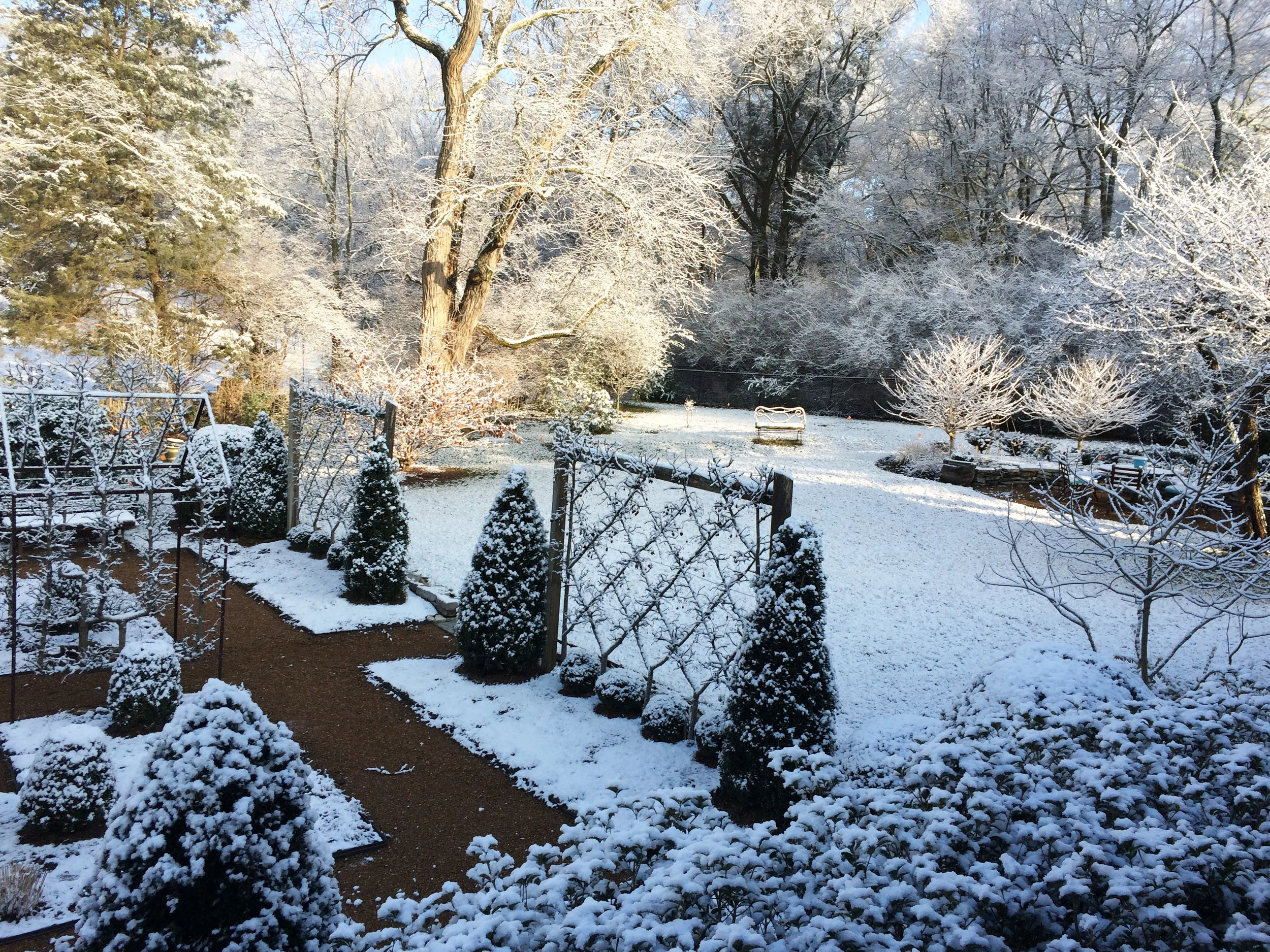 Belgian Fence in winter