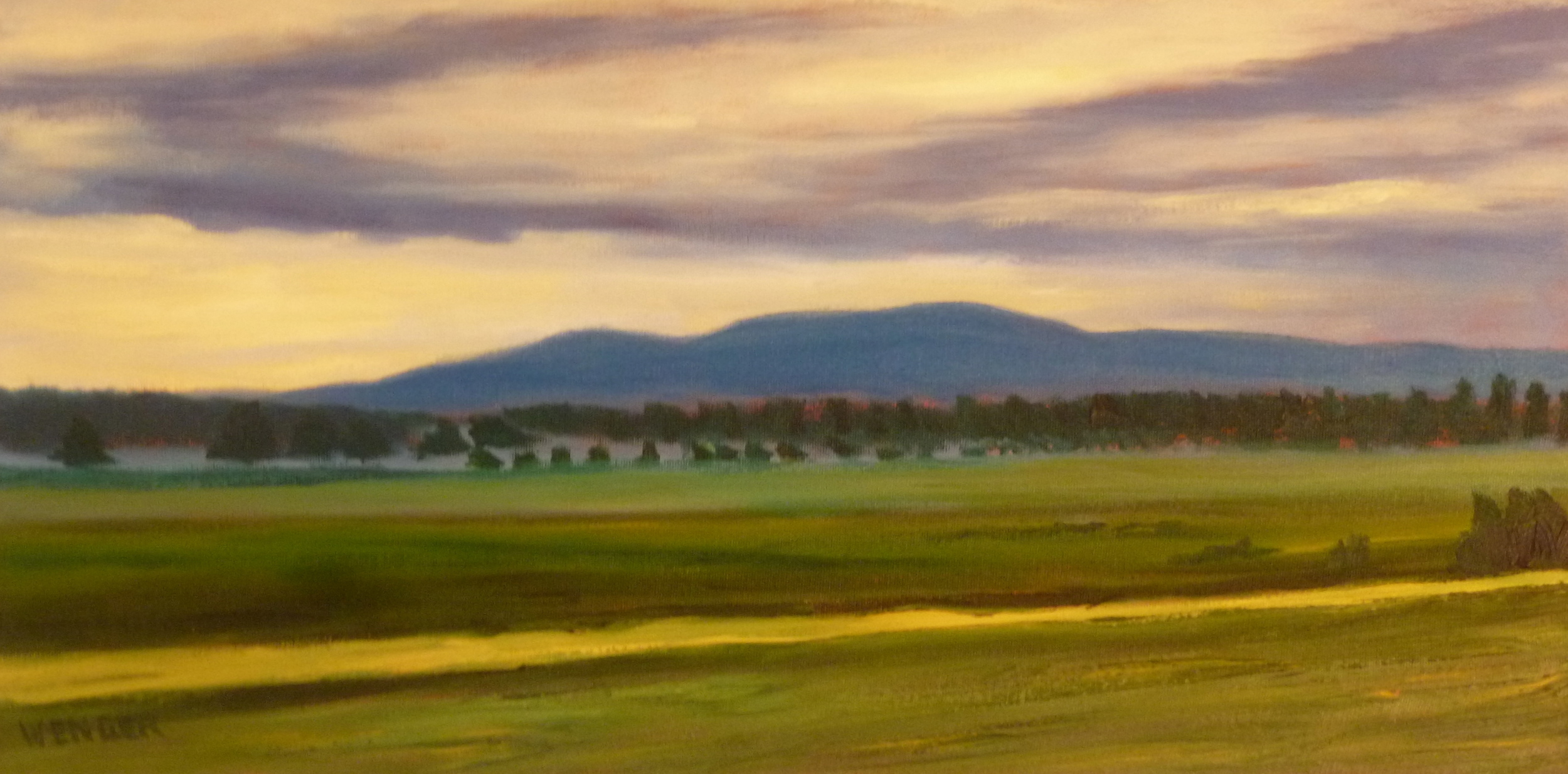  LOW SMOKE SAANICH &nbsp; 12" x 24" &nbsp;  oil on canvas  