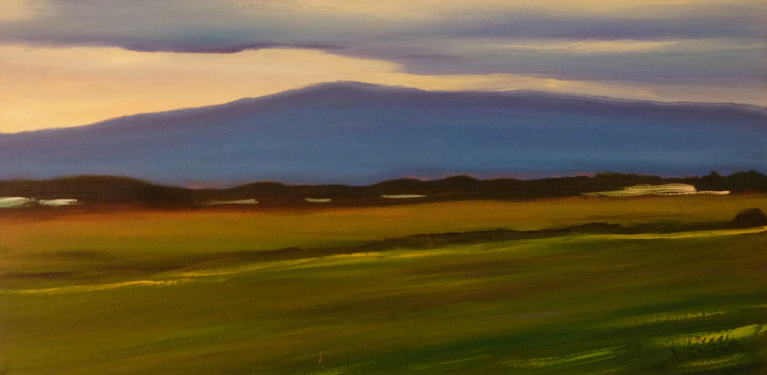  SAANICH PENNINSULA&nbsp;  12" x 24" &nbsp;  oil on canvas  