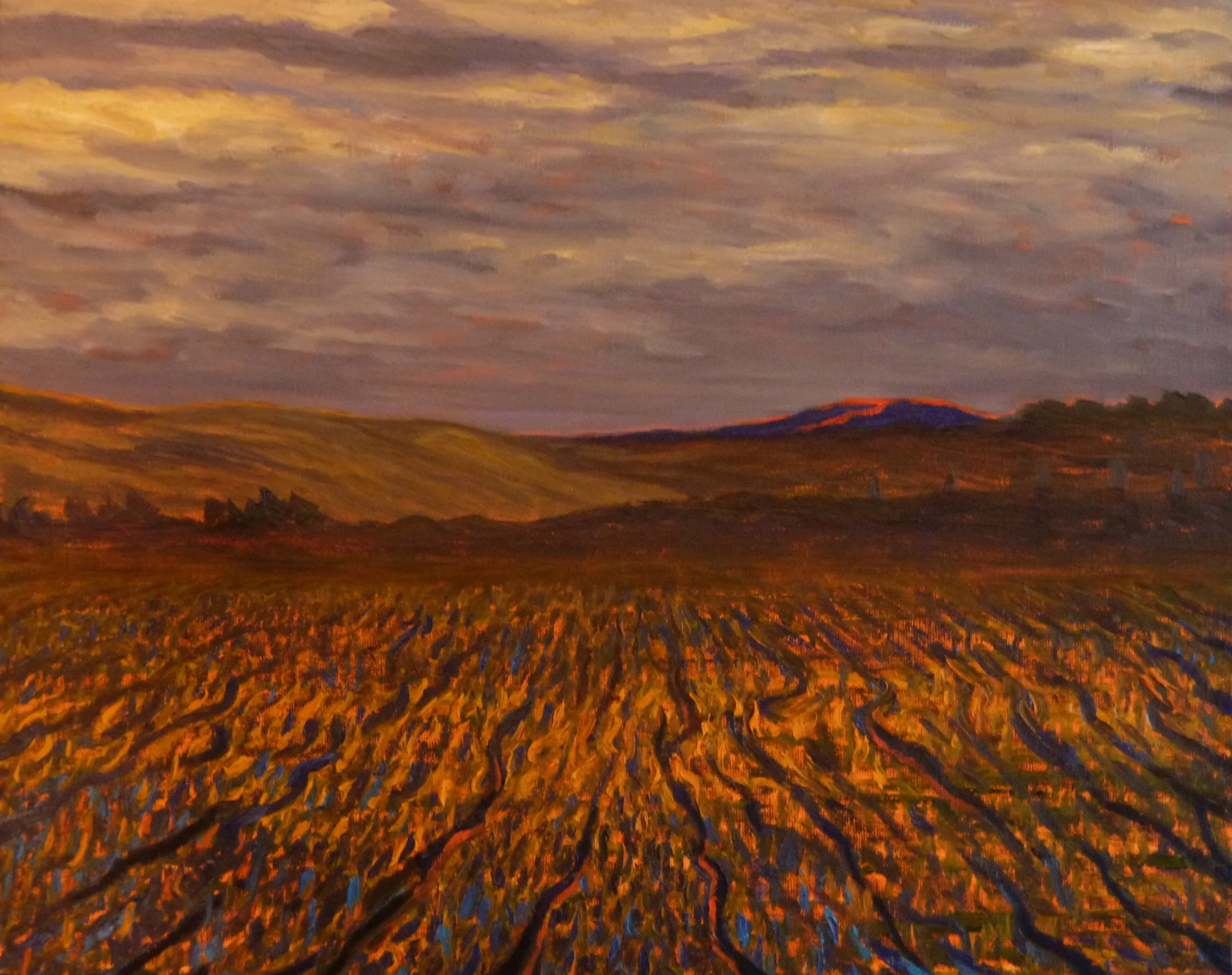  PARCHED &nbsp;  16" x 20"&nbsp;&nbsp; oil on canvas  