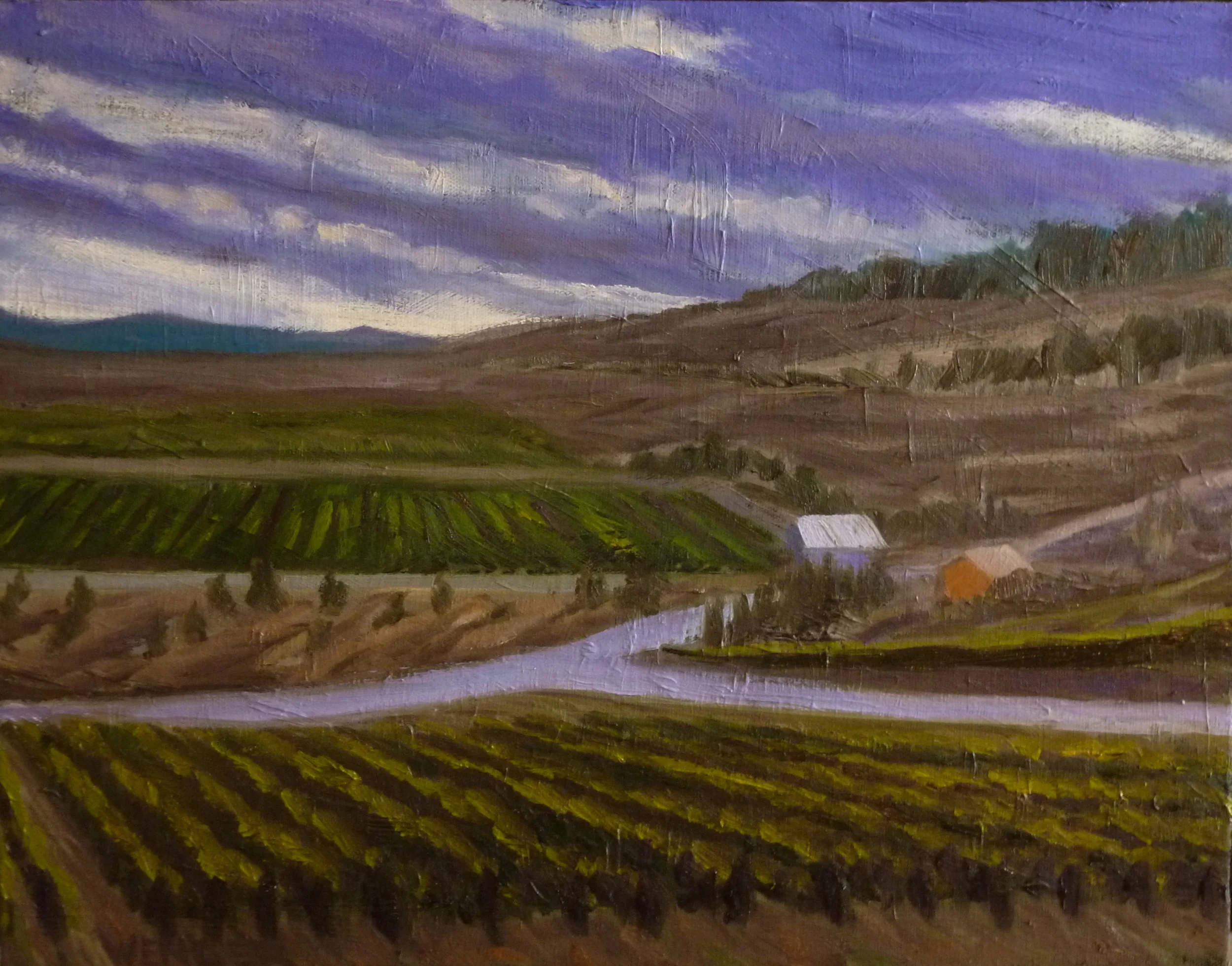  NARAMATTER &nbsp;  14" x 18"&nbsp;&nbsp; oil on canvas  