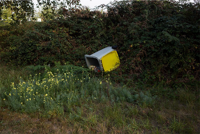 Diego Berruecos - Lie together, die together, 2014.