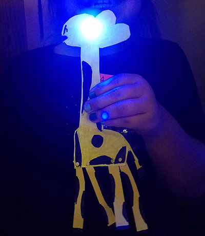 STEAM LED Puppets (7).jpg