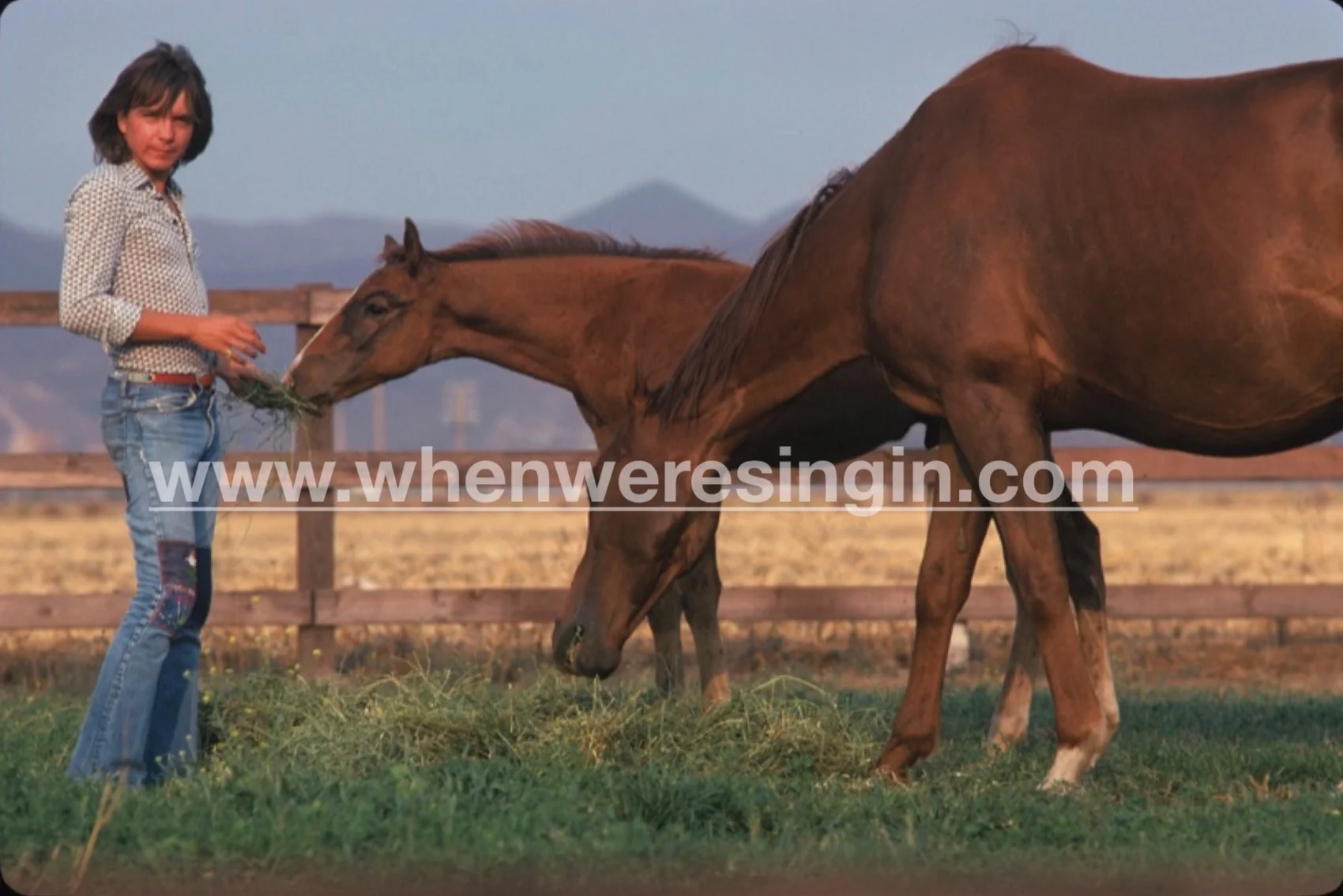 colts+watermark+copy.jpg