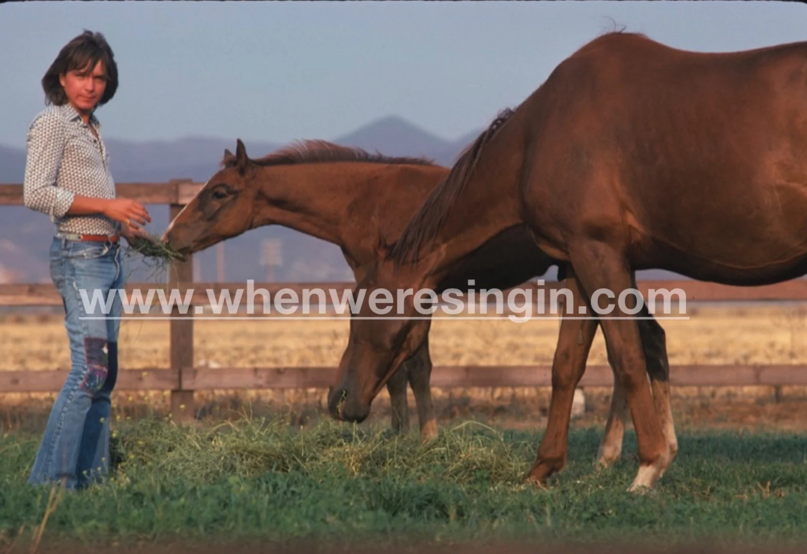 colts+watermark+copy.jpg
