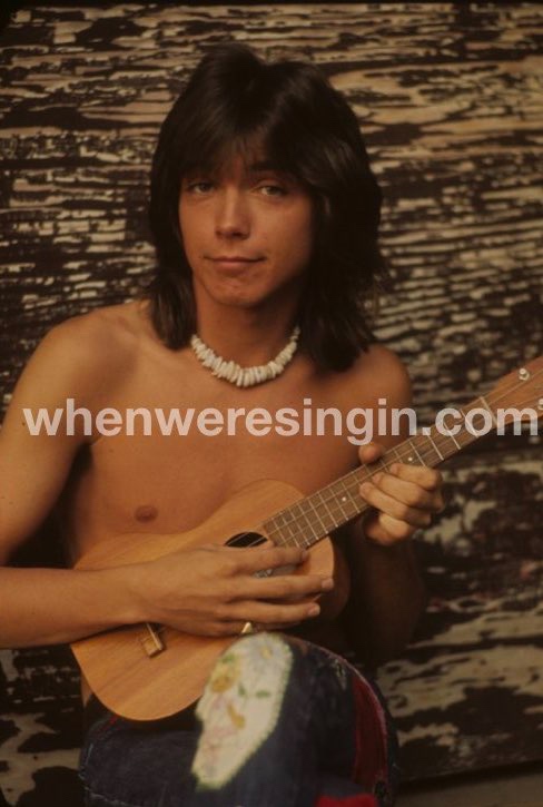 david+ukelele+watermark.001.jpg